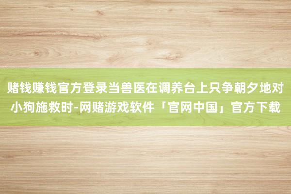 赌钱赚钱官方登录当兽医在调养台上只争朝夕地对小狗施救时-网赌游戏软件「官网中国」官方下载